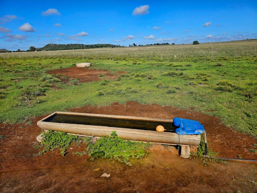 3 Bedroom Property for Sale in Bloemfontein Rural Free State